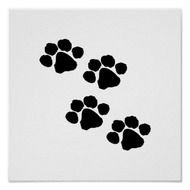 Animal Paw Prints N4