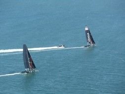 sailing regatta as a picture for clipart