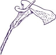 Calla Lily Clip Art N3
