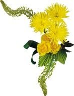 Chrysanthemums Dahlias amp Asters 1061 1088 1080 1079 1072 1085 1090 1077 1084 1099
