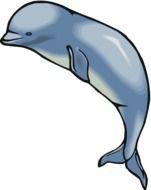 blue big Whale Clip Art drawing