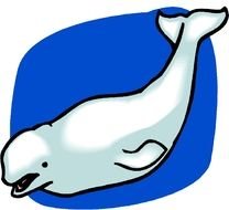 Beluga Whale Drawing
