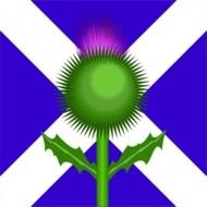 Scottish Thistle Clip Art N19