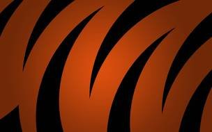 Black and orange tiger stripes clipart