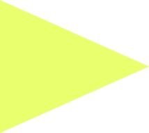 Yellow Triangle N2