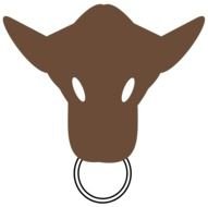 brown head of a bull on a black background