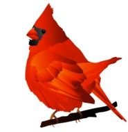 Cardinal Bird Clip Art N43