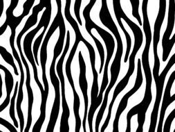 Colorful zebra print clipart