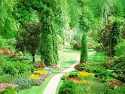 Beautiful and colorful landscape with the plants