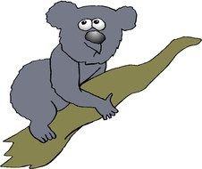 Bear coala drawing