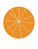 painted white spider web in orange circle