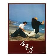 Aikido Martial Posters