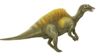 dinosaur on the white background