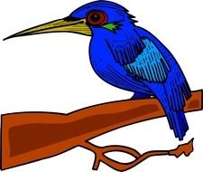 Cartoon Bird drawing blue