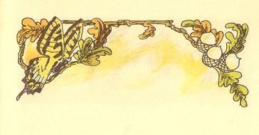 Vintage Border, Butterfly and acorns on oak branch