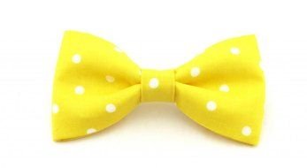 yellow bow tie with white dots