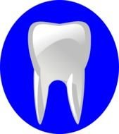 Tooth Clip Art N65