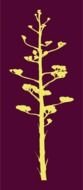 yellow tree drawing