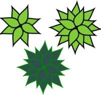 green Plant Clip Art drawing