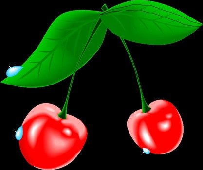 red Cherry Clip Art drawing