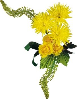 Chrysanthemums Dahlias amp Asters 1061 1088 1080 1079 1072 1085 1090 1077 1084 1099