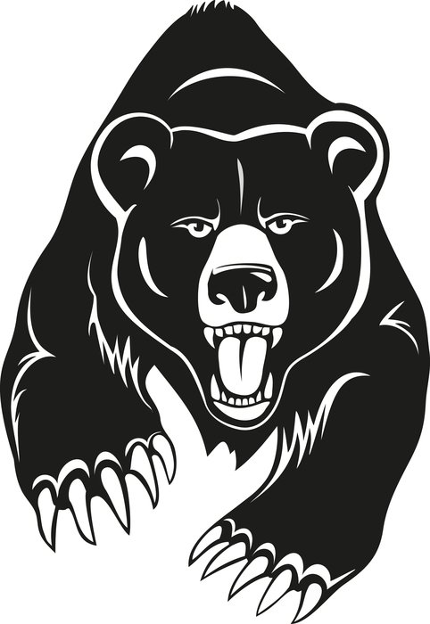 Bear Tattoo drawing