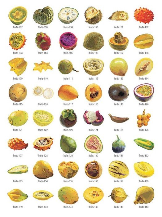 All Fruit Names