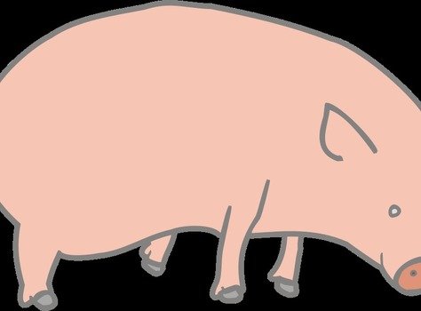 Clip art of Pig