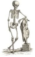 painted skeleton at the stone statue