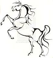 Horse Rearing Up Drawing