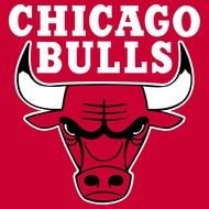 Chicago Bulls Logo N11