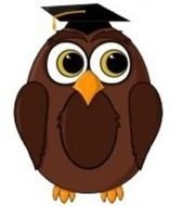 Wise Owl Cartoons N4