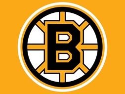 Boston Bruins, Logo of Ice hockey team