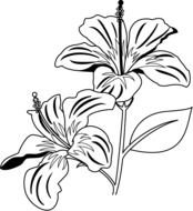 Flower Clip Art Coloring Pages N7