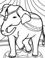 Circus Elephant Coloring Pages drawing