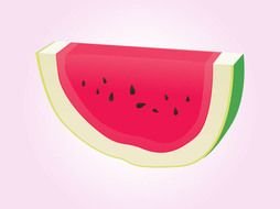 Watermelon slice vector drawing