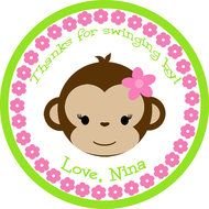 Baby Girl Monkey N2