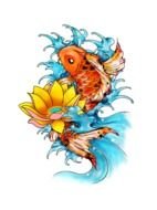 Coy Fish drawing