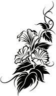 Black and white drawing of the vine clipart