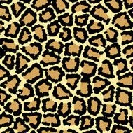 painted leopard texture
