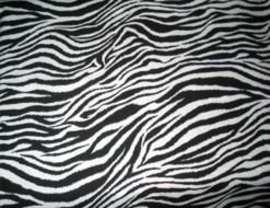 Black and white zebra background clipart