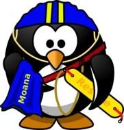 Lifeguard Clip Art N22