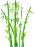 Bamboo Border Clip Art drawing