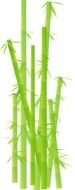 green bamboo as a picture for clipart