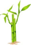 green Bamboo Tree Clip Art drawing