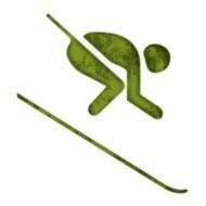 Downhill Skiing Icon 045214