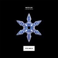 star Wasted Love Steve Angello