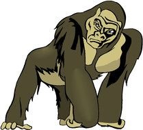 Monkey as an illustration