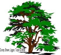 Tree Clip Art N152
