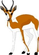 Cartoon Gazelle Clip Art